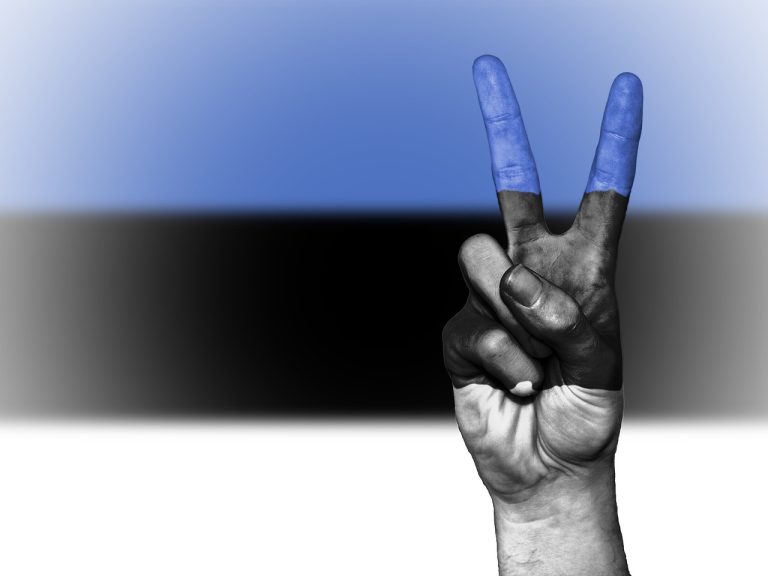estonia, wallpaper 4k, peace, free background, hand, nation, background, banner, hd wallpaper, colors, country, full hd wallpaper, 4k wallpaper 1920x1080, beautiful wallpaper, ensign, windows wallpaper, wallpaper hd, laptop wallpaper, mac wallpaper, free wallpaper, cool backgrounds, desktop backgrounds, flag, graphic, 4k wallpaper, icon, national, state, symbol, tourism, travel