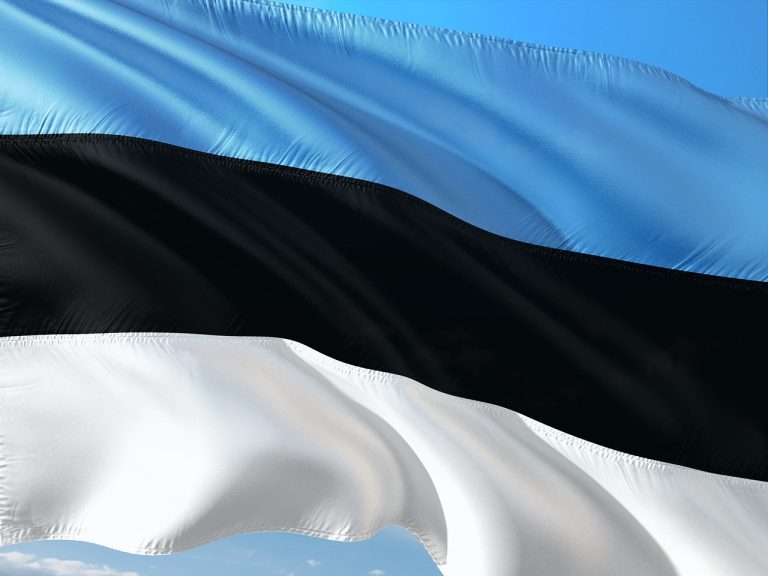 international, banner, flag, estonia, eastern europe, baltic, estonia, estonia, estonia, estonia, estonia