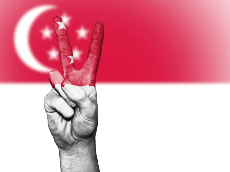 A hand painted with the Singaporean flag makes a peace sign against a flag background.